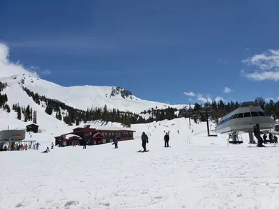 20190517_135504 (Large).jpg